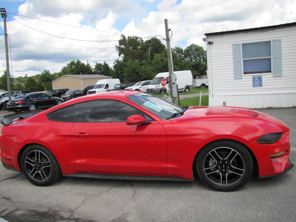 Ford Mustang photo 4