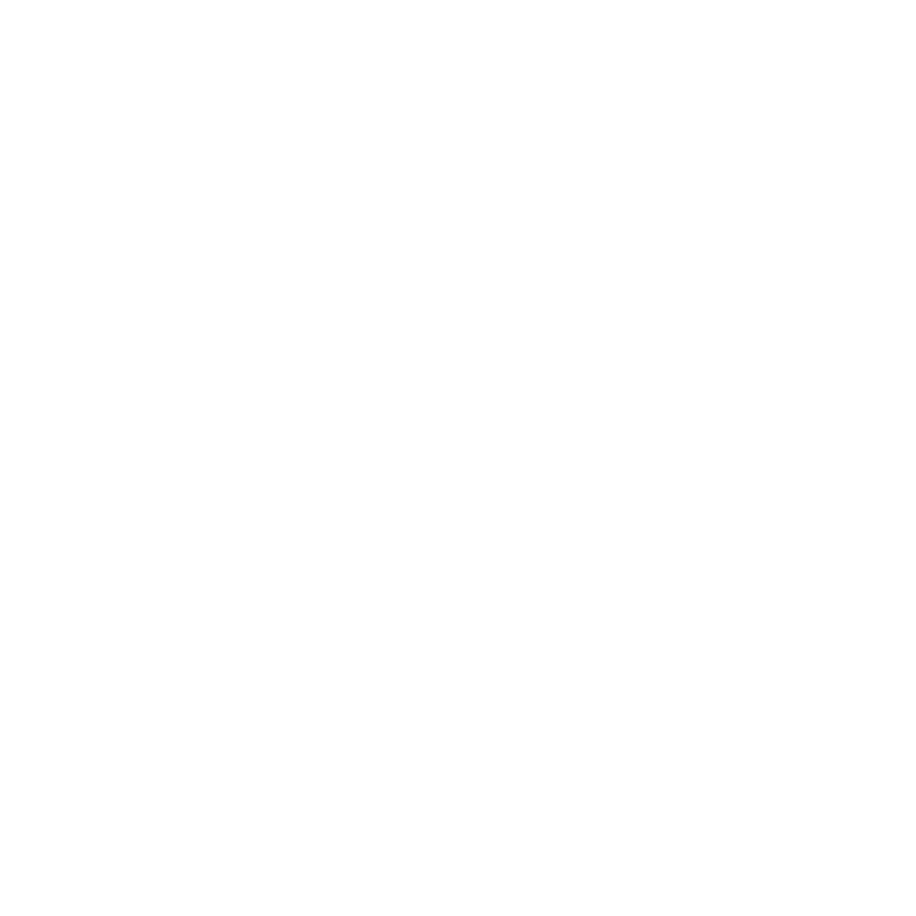 Bell's Auto Sales INC